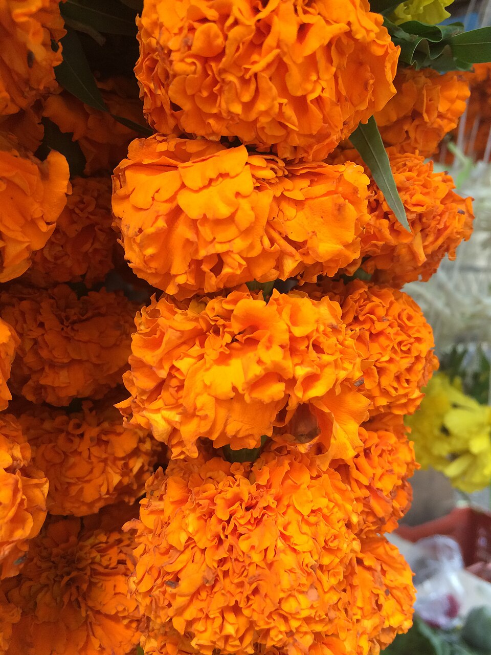 Marigold garlands prepared for the deity