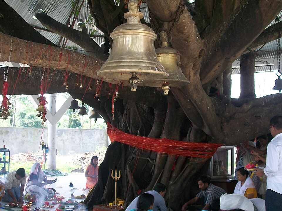 Devotees under a tree hung with temple bells